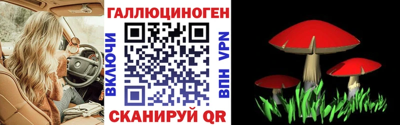 Псилоцибиновые грибы прущие грибы  мега ONION  Белово 